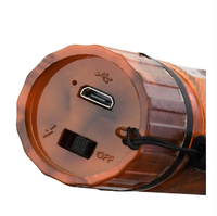 Lampe torche promotionnelle UV LED rechargeable longue portée super puissante 1101 Plus en alliage d'aluminium métallique portable pour femme, classée parmi les meilleures