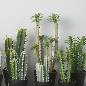V147 a Più <span class=keywords><strong>di</strong></span> tipo piccolo artificiale pianta succulente in vaso cactus <span class=keywords><strong>bonsai</strong></span> per la decorazione domestica - Product Image 1