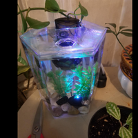 Vente en gros d'aquarium en plastique écologique personnalisé petit aquarium en forme de polygone conception de cylindre