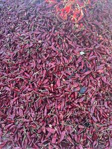 <span class=keywords><strong>Piment</strong></span> rouge Yidu entier cru, épice de <span class=keywords><strong>piment</strong></span>, fournisseur chinois pour le marché éthiopien - Product Image 6