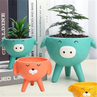 Pot de fleurs créatif en céramique, mignon, motif dessin animé, pour plantes succulentes, petit, simple, pour bureau ou maison, en forme d'animal