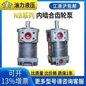 High-Pressure <b>Hydraulic</b> <b>Pumps</b> NB2 NB3 NB4 NB5-G20/G25/G50/G63F Internal Gear Oil <b>Pumps</b> - Product Image 5