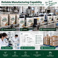Poudre de protéines d'amande en marque blanche, protéines végétales véganes, emballage personnalisé OEM (sachet, pot, boîte) pour vendeurs et distributeurs e-commerce