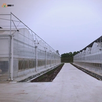 Film plastique agricole anti-goutte résistant aux UV, 7 couches, 100 microns, largeur 10 m, rouleau de 200 m, pour serre, fourni par l'usine