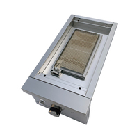 Barbecue infrarouge en céramique au gaz propane pour extérieur en acier inoxydable 304 Worldful avec brûleur latéral, lumières LED et allumage par impulsions