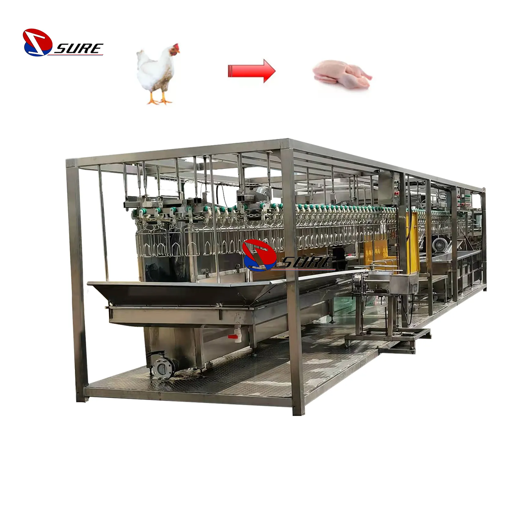 Stainless Steel Chicken Poultry Slaughter Line Duck Slaughtering House Processing Line