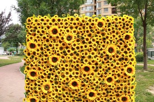Mur floral artificiel jaune vif avec des fleurs de tournesol épanouies pour la décoration de scènes extérieures rustiques - Product Image 5