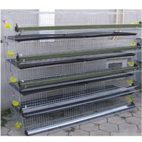 Cage de caille pour ferme de volaille, fabricant chinois, haute qualité