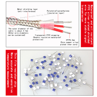 Sonde de température magnétique de type K Pt100 avec résistance IP68, résolution 0,5°C, personnalisable OEM