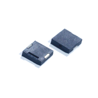 Buzzer Piezo Pasif Persegi Panjang SWT Berkualitas Tinggi 12mm 4kHz dengan Rongga Suara