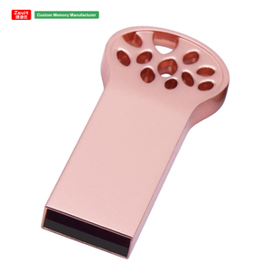 Biểu Tượng Tùy Chỉnh Mèo <span class=keywords><strong>Claw</strong></span> Khắc Hợp Kim 2.0 2GB Mini Kim Loại Ổ Đĩa Cứng Pendrive Gậy 64GB 128GB <span class=keywords><strong>USB</strong></span> 3.0 Giao Diện Ổ Đĩa <span class=keywords><strong>Flash</strong></span> - Product Image 1