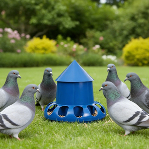 Meilleures ventes mondiales : Distributeur d'eau automatique pour oiseaux en plastique de haute qualité, durable, portable, facile à nettoyer, design moderne et élégant pour pigeons. - Product Image 1