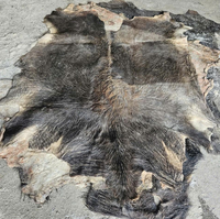 Kulit Sapi Mentah Berlapis Ganda Basah dan Asin untuk Pelapis Sofa, Tas, dan Sepatu (Asal Vietnam)