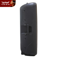 Woofer Instrument PA DJ double 12 pouces alimenté par le sol Active Blue Tooth chariot professionnel Portable acoustique Audio haut-parleur