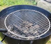 295mm japon jetable Barbecue Grill maille Portable BBQ Grill remplacement pour pique-nique en plein air