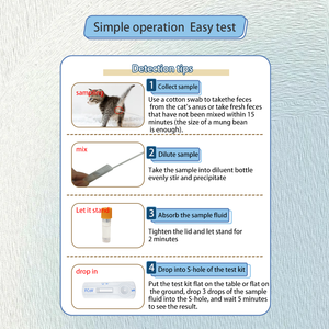 Feline Co-Ronavirus-Antigen-Schnelltest (FCoV Ag) Sicher und zuverlässig Einfache Bedienung Veterinär-Schnelltest-Kits für die Tierklinik - Product Image 4