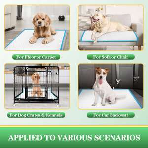 2026 Puppy Pads in Bulk Wholesale Thickened Deodorant <b>Dog</b> Diaper Pads Pet <b>Training</b> Supplies Disposable Pad PUPPY <b>Dog</b> Diapers - Product Image 5