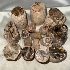 Großhandel hochwertige Baum platte Display natürlichen versteinerten Holz stumpf für Home Decoration - Product Image 2