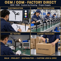 Projecteur Solaire Extérieur pour Projets de Paysagisme de Complexes Hôteliers IP65 Réglable sur Piquet OEM ODM Direct Usine Zhongshan