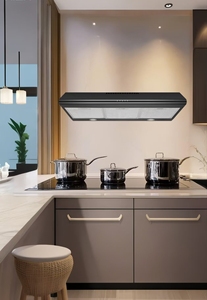 <span class=keywords><strong>Hotte</strong></span> <span class=keywords><strong>aspirante</strong></span> combinée <span class=keywords><strong>professionnelle</strong></span> de type T, plaque chauffante électrique, classe d'efficacité énergétique, largeur 600 mm, OEM commercial - Product Image 4