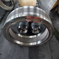 Matrice de granulation en acier inoxydable X46Cr13 forgée pour machine à granulés de bois et biomasse MATRICA RMP 650-105 MUNCH