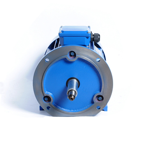 Motor de Inducción Trifásico de CA de 11 kW, 15 HP, 1000 RPM, 50 Hz, Eficiencia IE2, 220 V, Marco de 42 mm, Montaje en Base - Product Image 2