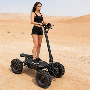New Arrival 4x4 Scooter Shock-absorbing IPX65 Waterproof Solid Tire Foldable Scooter for Outdoor Leisure - Product Image 1