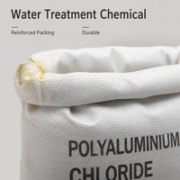 PAC Coagulant d'eau haute performance, poudre de chlorure de polyaluminium 28%