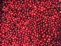 Heetverkopende, voordelige, bulk IQF diepvries bosbessen (kersachtig type), grote vraag naar IQF diepvries fruit