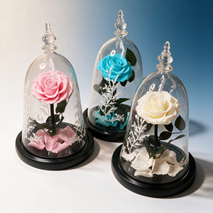 La <span class=keywords><strong>Bella</strong></span> <span class=keywords><strong>y</strong></span> la <span class=keywords><strong>Bestia</strong></span>, <span class=keywords><strong>Rosa</strong></span> Preservada en Cúpula de Cristal, <span class=keywords><strong>Rosa</strong></span> Eterna en Campana de Cristal para San Valentín, Aniversario, Decoración del Hogar, Regalo, Venta al por Mayor - Product Image 2