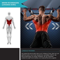 Wellshow Sport Barra de dominadas 4 en 1 para puerta, Barra de flexiones, Soporte para flexiones, Entrenador de tiras