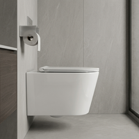 WC suspendu mural de luxe, cuvette élégante et lisse à fixation latérale avec réservoir intégré pour salle de bain d'appartement