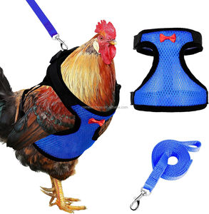 Juego de arnés y correa de pollo de fábrica para gallinas pequeñas mascotas ganso Pato y arnés de pollo chalecos arnés y correa de pollo para mascotas - Product Image 2