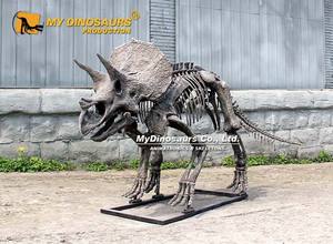 <span class=keywords><strong>Esqueleto</strong></span> de Dinosaurio <span class=keywords><strong>Triceratops</strong></span> 3D Realista para Exhibición en Museo, MY DINO DS-143 - Product Image 3