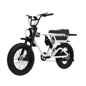 Bicicleta Eléctrica de 20 Pulgadas, Precio de Fábrica, Ligera, Todoterreno, Bicicleta Eléctrica Gruesa de 48V 750W para Adultos - Product Image 1
