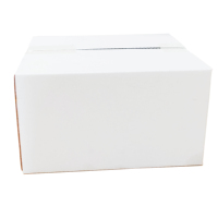 Boîte en carton ondulé rigide rectangulaire blanche pour transport express, conception personnalisée avec logo, boîte d'expédition blanche de haute qualité