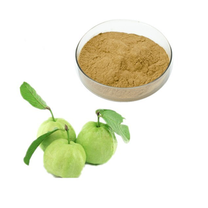 Guava Leaf <b>Extract</b> Natural Herbal Powder Psidium Guajava Leaf <b>Extract</b> for Wellness and Ayurvedic Formulations - Product Image 3
