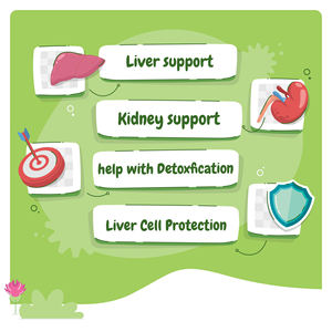 Suplementos Masticables Naturales <span class=keywords><strong>para</strong></span> <span class=keywords><strong>Perros</strong></span> OEM/ODM - Curcumina, Colina, Apoyo <span class=keywords><strong>para</strong></span> el Hígado y Riñones, Salud de la Colina, Cuidado de la Salud de las Mascotas - Product Image 2