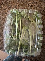 Emballage transparent pour micro-légumes, conteneur de 3 oz pour basilic, emballage pour menthe, conteneur pour feuilles de basilic