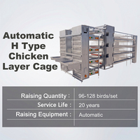 Système d'équipement avicole pour l'élevage de poules pondeuses automatiques en cages de type H à batterie, à vendre