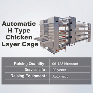 Système d'équipement avicole pour l'élevage de poules pondeuses automatiques en cages de type H <span class=keywords><strong>à</strong></span> batterie, <span class=keywords><strong>à</strong></span> vendre - Product Image 2