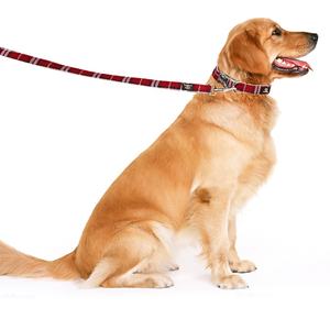 प्रत्यक्ष कारखाने सन पालतू कुत्ते कॉलर शुद्ध प्राकृतिक सड़ सकने सामग्री पर्यावरण के अनुकूल सन कुत्ते कॉलर और पट्टा सेट - Product Image 6