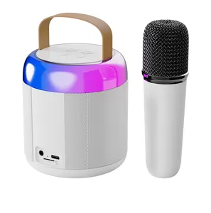 Mini Microphone Portable Audio Microphone Intégré Maison chant Karaoké Famille Sans Fil BT Haut-Parleur Portable Extérieur
