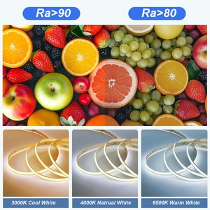 Tira de luces LED de PVC para interiores, decoración del hogar, iluminación para fiestas, 5 m, bajo voltaje, doble temperatura de color, cuerpo de PVC. - Product Image 4