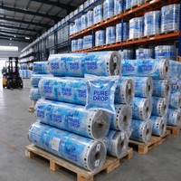 Rouleau de film alimentaire anti-poussière en LDPE pour jus, soda, eau minérale, sachets d'emballage de boissons imprimés en héliogravure personnalisés