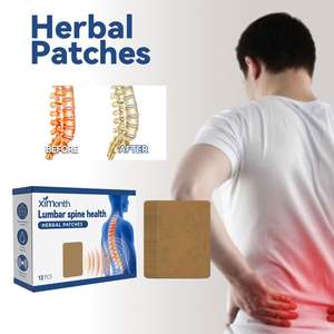Ximonth Label pribadi plester Herbal Wormwood alami, plester pereda nyeri tulang belakang Lumbar untuk pria dan wanita - Product Image 3