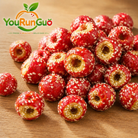 Premium FD Gefreeze-droogde Hawthorn Bessen Natuurlijke Zoete Fruitsnack Groothandel OEM Private Label