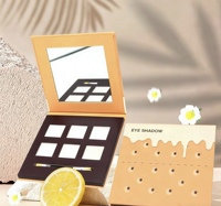 Palette de fards à paupières cosmétiques, ambre glacé, maquillage des yeux, vente en gros personnalisée