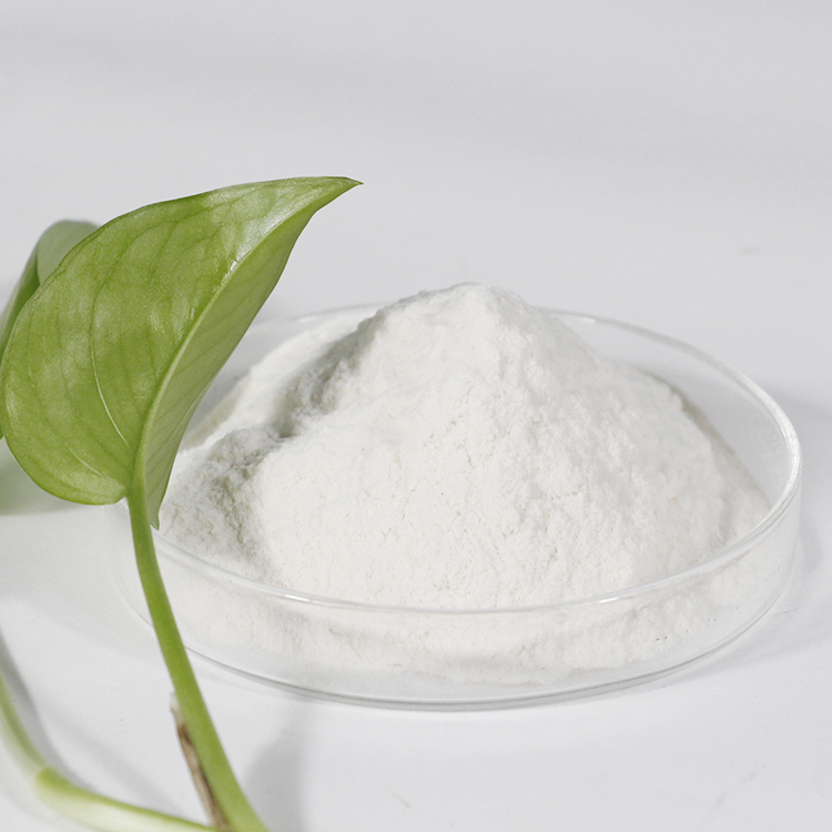 Bột CMC Carboxymethyl Cellulose Sodium CMC Cấp Công Nghiệp Chất Lượng Cạnh Tranh Ổn Định Tốt Để Nướng Bánh