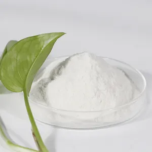 Competitive Price Quality Industrial Grade CMC Carboxymethyl Cellulose Sodium CMC Powder Good Stability For Ice Cream For Baking